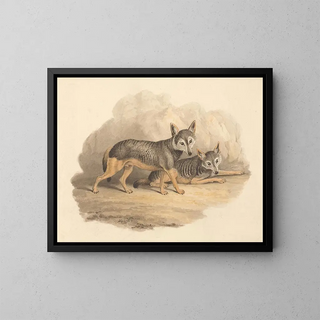 Two Hyenas - Samuel Howitt — framed artwork on a wall