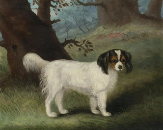 King Charles Spaniel - Samuel Spode — artwork view