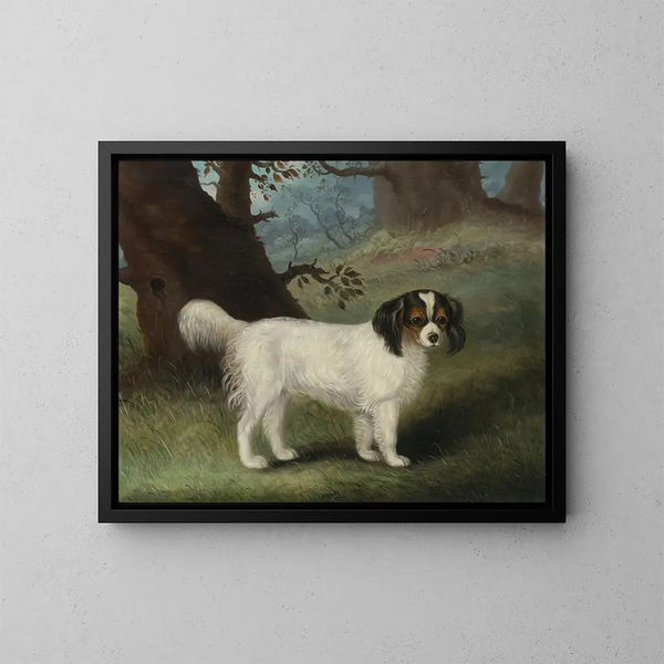 King Charles Spaniel - Samuel Spode — framed artwork on a wall