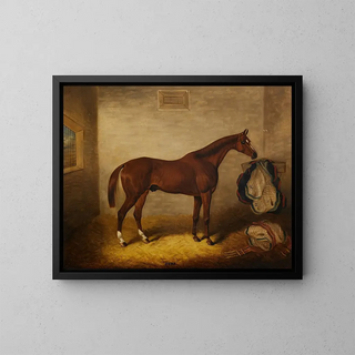 Les Écuries de Suds - Samuel Spode — framed artwork on a wall