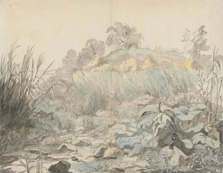 A rocky stream - Samuel Woodforde — artwork view