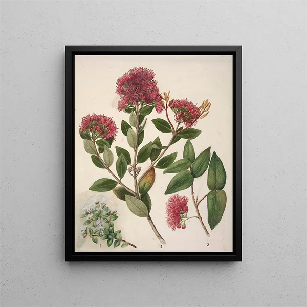 Aka Rata - Sarah Featon — framed artwork on a wall
