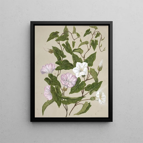 Liseron - Sarah Featon — framed artwork on a wall