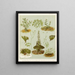 Fig 1 Cardamine hirsuta Fig 2 Braya of New Zealand Fig 3 Lepidium incisum Fig 4 Notothalspi rosulatum Plate 6 - Sarah Featon — framed artwork on a wall