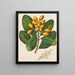 Orange - Sarah Featon — framed artwork on a wall