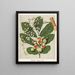 Reproduction of the painting KoheKohe Dysoxylum spectabile - Sarah Featon