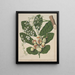 Rien - Sarah Featon — framed artwork on a wall