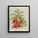 Kowhai Ngutu Kaka Clianthus puniceus - Sarah Featon — framed artwork on a wall