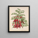 Clianthus puniceus - Sarah Featon — framed artwork on a wall