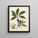 Sleep - Sarah Featon — framed artwork on a wall