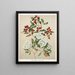 Maire Tawhake Eugenia maire - Sarah Featon — framed artwork on a wall