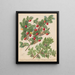 Miro Kawaka - Sarah Featon — framed artwork on a wall