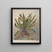Marguerite des montagnes - Sarah Featon — framed artwork on a wall