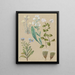 Myosotis espèce 5 Myosotis - Sarah Featon — framed artwork on a wall