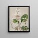 Ourisia - Sarah Featon — framed artwork on a wall