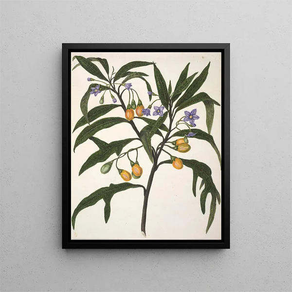 Hello - Sarah Featon — framed artwork on a wall