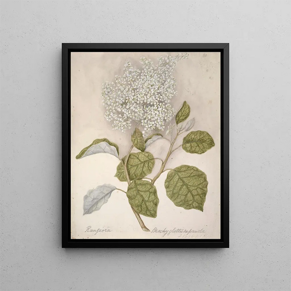 Rangiora Painting - Sarah Featon — framed artwork on a wall