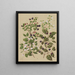 Subscription to the Lighthouse - Sarah Featon — framed artwork on a wall
