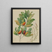 Samolus repens Pouteria costata - Sarah Featon — framed artwork on a wall