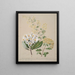 Senecio 3 species - Sarah Featon — framed artwork on a wall
