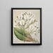 The Old Hector - Sarah Featon — framed artwork on a wall