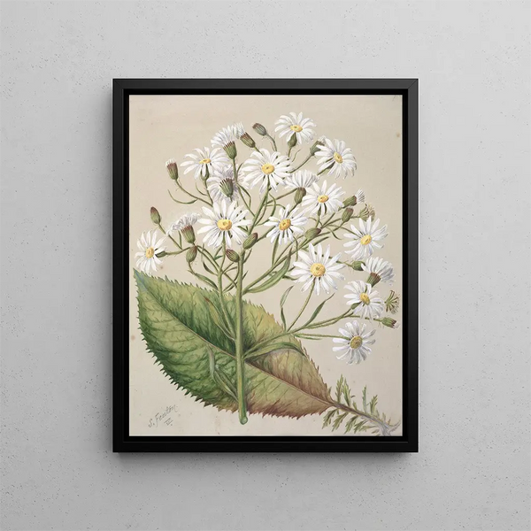 The Old Hector - Sarah Featon — framed artwork on a wall