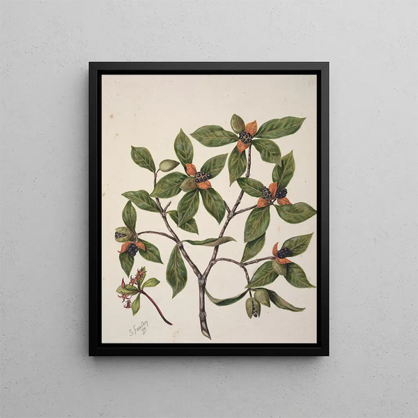 Faire demi-tour - Sarah Featon — framed artwork on a wall
