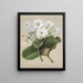 The lily of the mountains - Sarah Featon — framed artwork on a wall