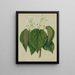 Cork Tree by Whau - Sarah Featon — framed artwork on a wall