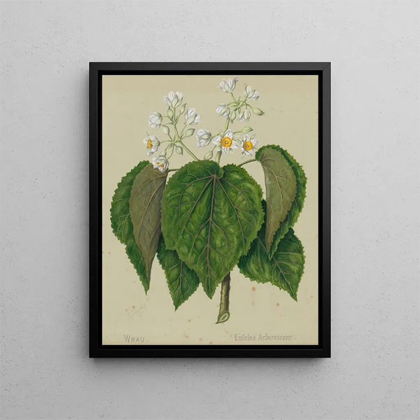 Cork Tree by Whau - Sarah Featon — framed artwork on a wall