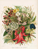 Plate of wildflowers and berries 0 - Sarah Featon — artwork view