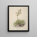 Spanish Wild Painting - Sarah Featon — framed artwork on a wall