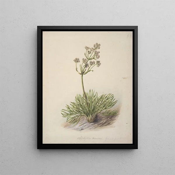 Spanish Wild Painting - Sarah Featon — framed artwork on a wall