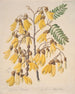 Yellow Painting - Sarah Featon — artwork view