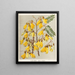 Kowhai jaune Sophora tetraptera, Planche 28 - Sarah Featon — framed artwork on a wall