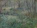 Wild Parsley Painting - Sarah Paxton Ball Dodson — artwork view