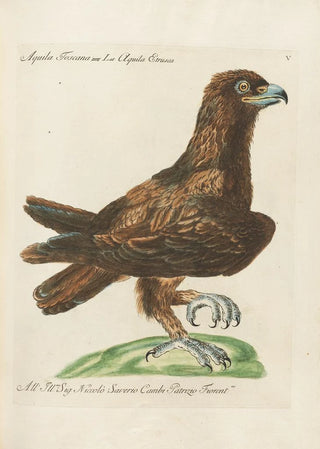 Saverio Manetti - Ornithologia methodice digesta Pl005.webp