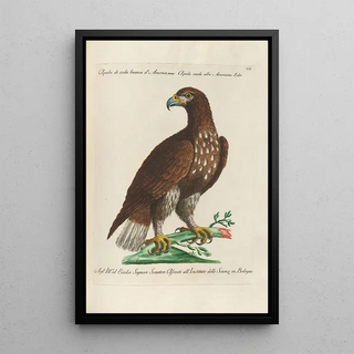 Saverio Manetti - Ornithologia methodice digesta Pl007.webp