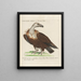 Ornithology Painting methodically digested Pl010 - Saverio Manetti — framed artwork on a wall