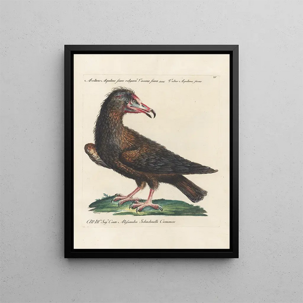 Ornithology Painting methodically digested Pl015 - Saverio Manetti — framed artwork on a wall