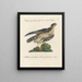 Ornithology Painting methodically digested Pl020 - Saverio Manetti — framed artwork on a wall