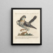 Ornithology Painting methodically digested Pl021 - Saverio Manetti — framed artwork on a wall