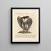 Ornithology Painting methodically digested Pl023 - Saverio Manetti — framed artwork on a wall
