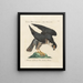 Ornithology painting methodically digested Pl024 - Saverio Manetti — framed artwork on a wall