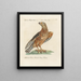 Ornithology Painting methodically digested Pl026 - Saverio Manetti — framed artwork on a wall