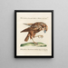 Ornithology Painting methodically digested Pl032 - Saverio Manetti — framed artwork on a wall