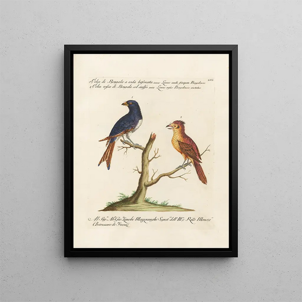 Ornithology Painting methodically digested Pl057 - Saverio Manetti — framed artwork on a wall