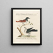 Ornithology Painting methodically digested Pl059 - Saverio Manetti — framed artwork on a wall