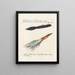 Ornithology Painting methodically digested Pl064 - Saverio Manetti — framed artwork on a wall