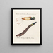 Ornithology Painting methodically digested Pl065 - Saverio Manetti — framed artwork on a wall